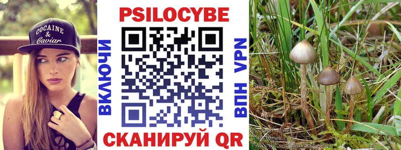 Галлюциногенные грибы прущие грибы  Купить  Чернушка 